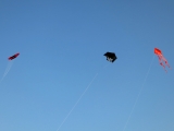 Roemoe_2014_164
