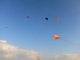 Roemoe_2014_166