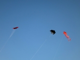 Roemoe_2014_167