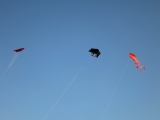 Roemoe_2014_168