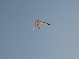 Roemoe_2014_170