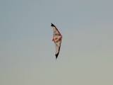 Roemoe_2014_171