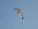Roemoe_2014_172