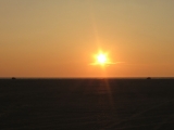 Roemoe_2014_173