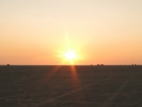 Roemoe_2014_175