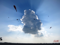 Roemoe_2014_185