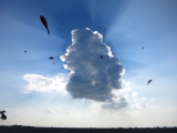 Roemoe_2014_185