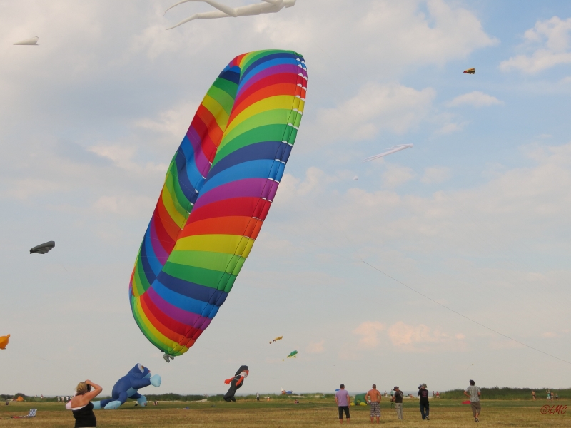 Schillig_2014_003