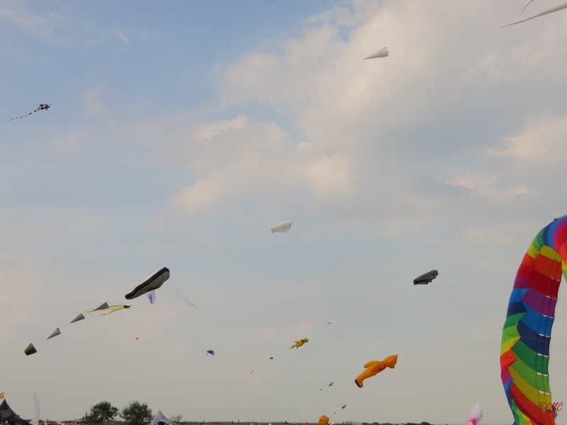 Schillig_2014_005