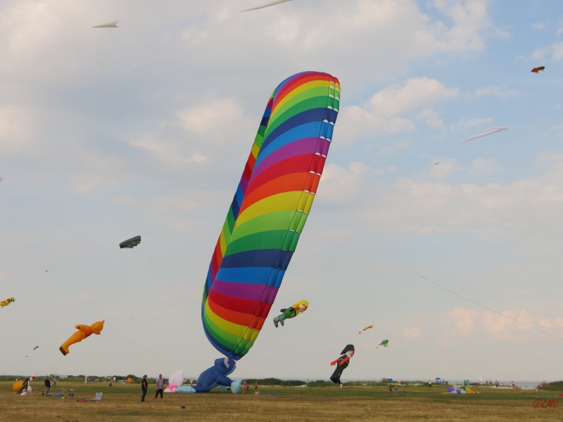 Schillig_2014_007