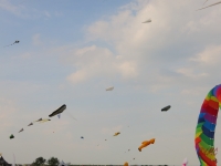 Schillig_2014_005