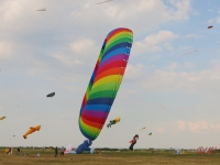 Schillig_2014_007