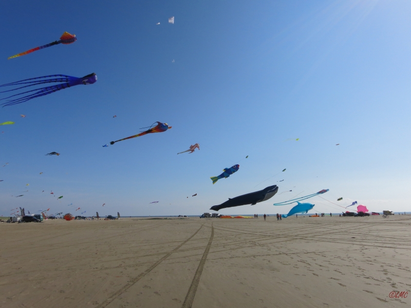 Fanoe_2016_004