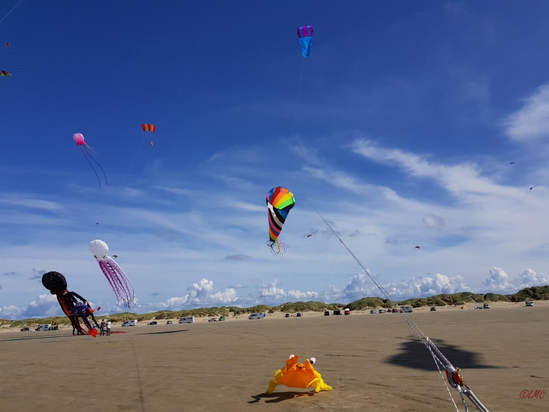 Roemoe_2017_074