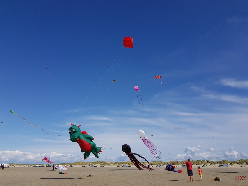 Roemoe_2017_075