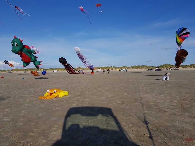 Roemoe_2017_076