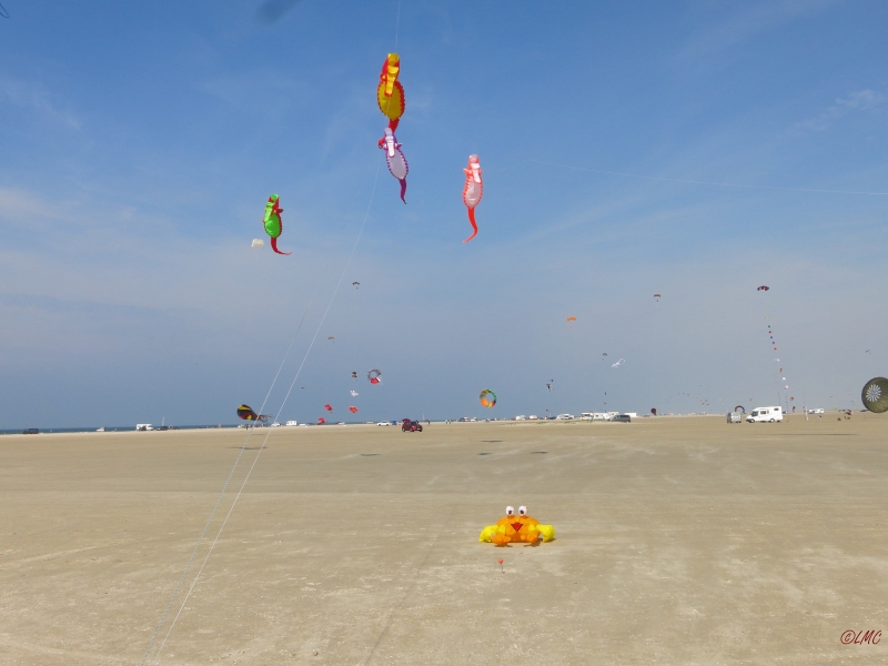 Roemoe_2017_095