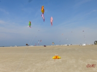 Roemoe_2017_095