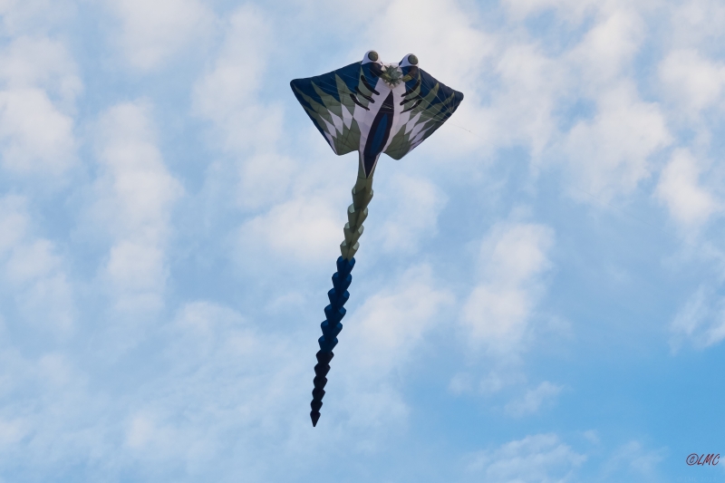 Fanoe_2018_18-06-09_20-09-18