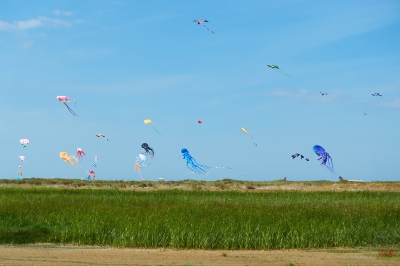 Fanoe_2018_18-06-15_11-39-18