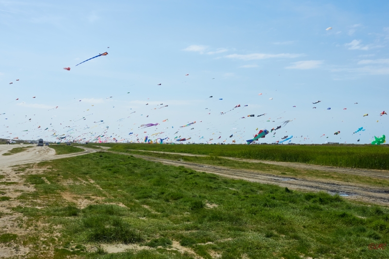 Fanoe_2018_18-06-15_11-39-39