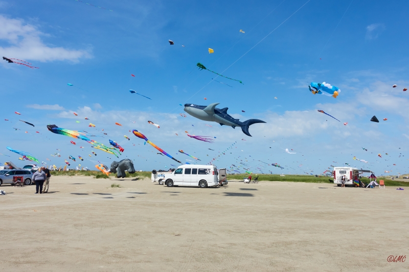Fanoe_2018_18-06-15_11-47-10