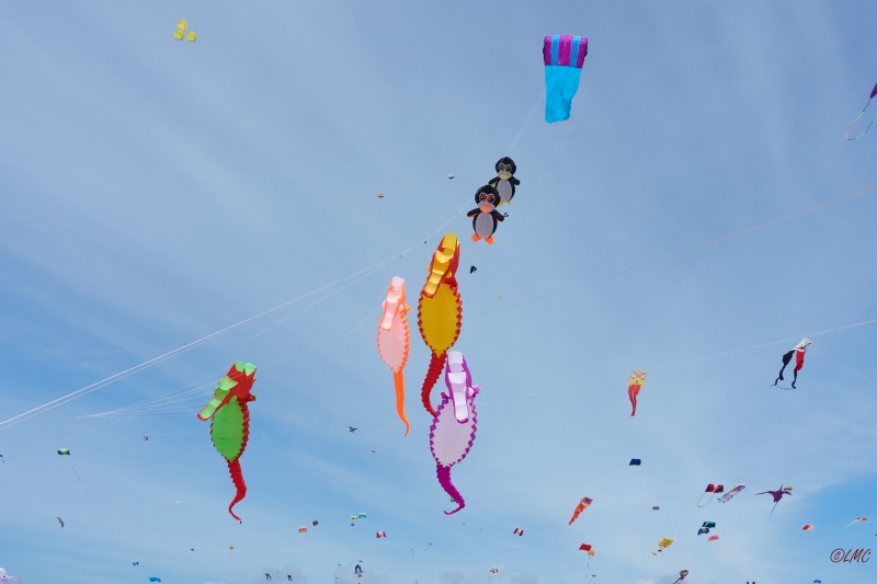 Fanoe_2018_18-06-15_14-07-27