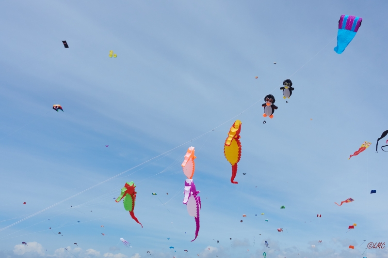 Fanoe_2018_18-06-15_14-07-59