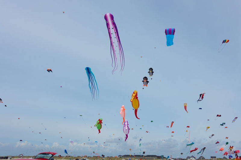 Fanoe_2018_18-06-15_15-04-25