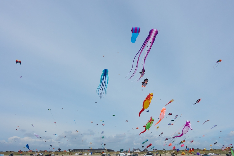 Fanoe_2018_18-06-15_15-05-28