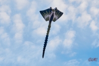 Fanoe_2018_18-06-09_20-09-18