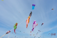 Fanoe_2018_18-06-15_14-10-18