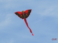 Bali-Drache