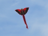 Bali-Drache