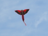 Bali-Drache