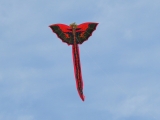 Bali-Drache