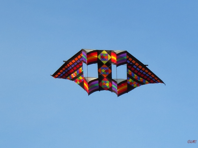 Double_Box_Delta_001