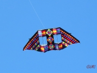 Double_Box_Delta_003