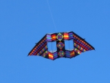 Double_Box_Delta_002