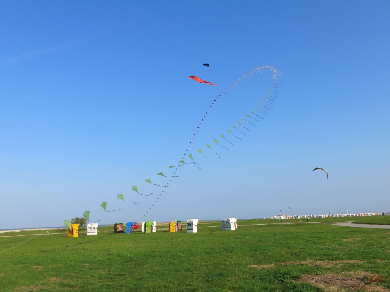 Eddybogen_Schillig_004