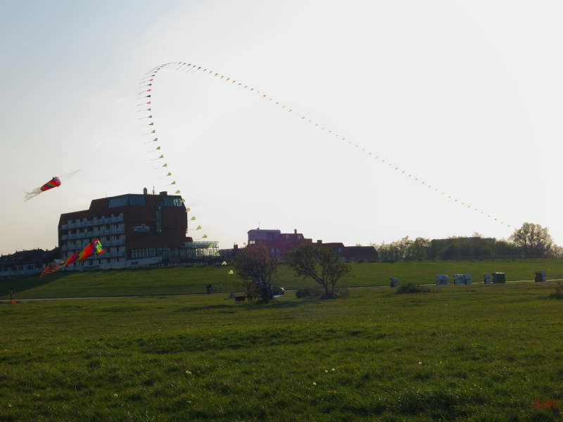 Eddybogen_Schillig_009