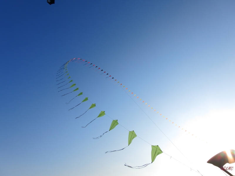 Eddybogen_Schillig_010