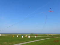 Eddybogen_Schillig_001