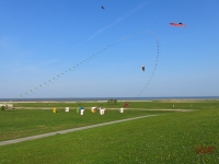 Eddybogen_Schillig_002