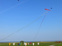 Eddybogen_Schillig_003