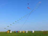 Eddybogen_Schillig_005
