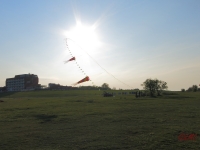 Eddybogen_Schillig_006