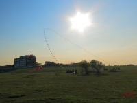 Eddybogen_Schillig_007