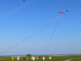 Eddybogen_Schillig_003