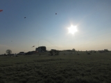Eddybogen_Schillig_008